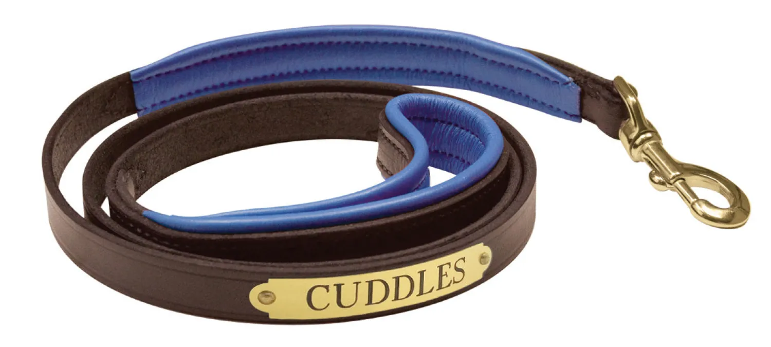 Discount PERRIS LEATHER Perri’s® Padded Leather Nameplate Dog Leash