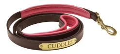 Discount PERRIS LEATHER Perri’s® Padded Leather Nameplate Dog Leash