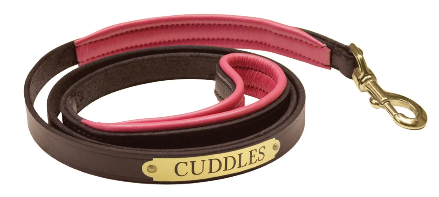 Discount PERRIS LEATHER Perri’s® Padded Leather Nameplate Dog Leash