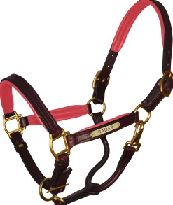 Discount PERRIS LEATHER Perri’s® Padded Leather Pony Halter with Nameplate