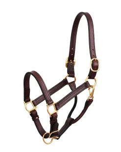 Outlet PERRIS LEATHER Perri’s® Premium Leather XL Show Halter