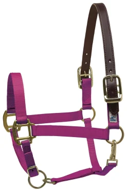 PERRIS LEATHER Perri’s® Premium Nylon Breakaway Halter