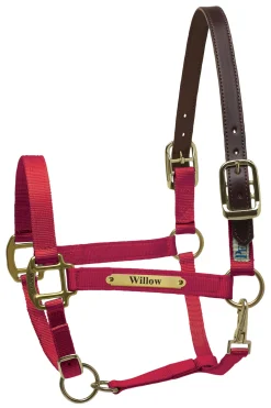 Sale PERRIS LEATHER Perri’s® Premium Nylon Safety Halter with Nameplate