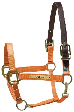 Sale PERRIS LEATHER Perri’s® Premium Nylon Safety Halter with Nameplate