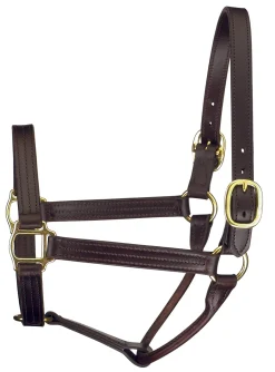 Outlet PERRIS LEATHER Perri’s® Premium Track Style Show Halter Havana