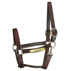 New PERRIS LEATHER Perri’s® Track Style Leather Turnout Halter with Snap Throat and Nameplate