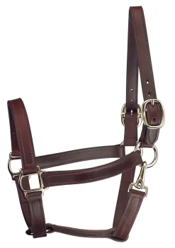 Hot PERRIS LEATHER Perri’s® Track Style Turnout Halter with Snap
