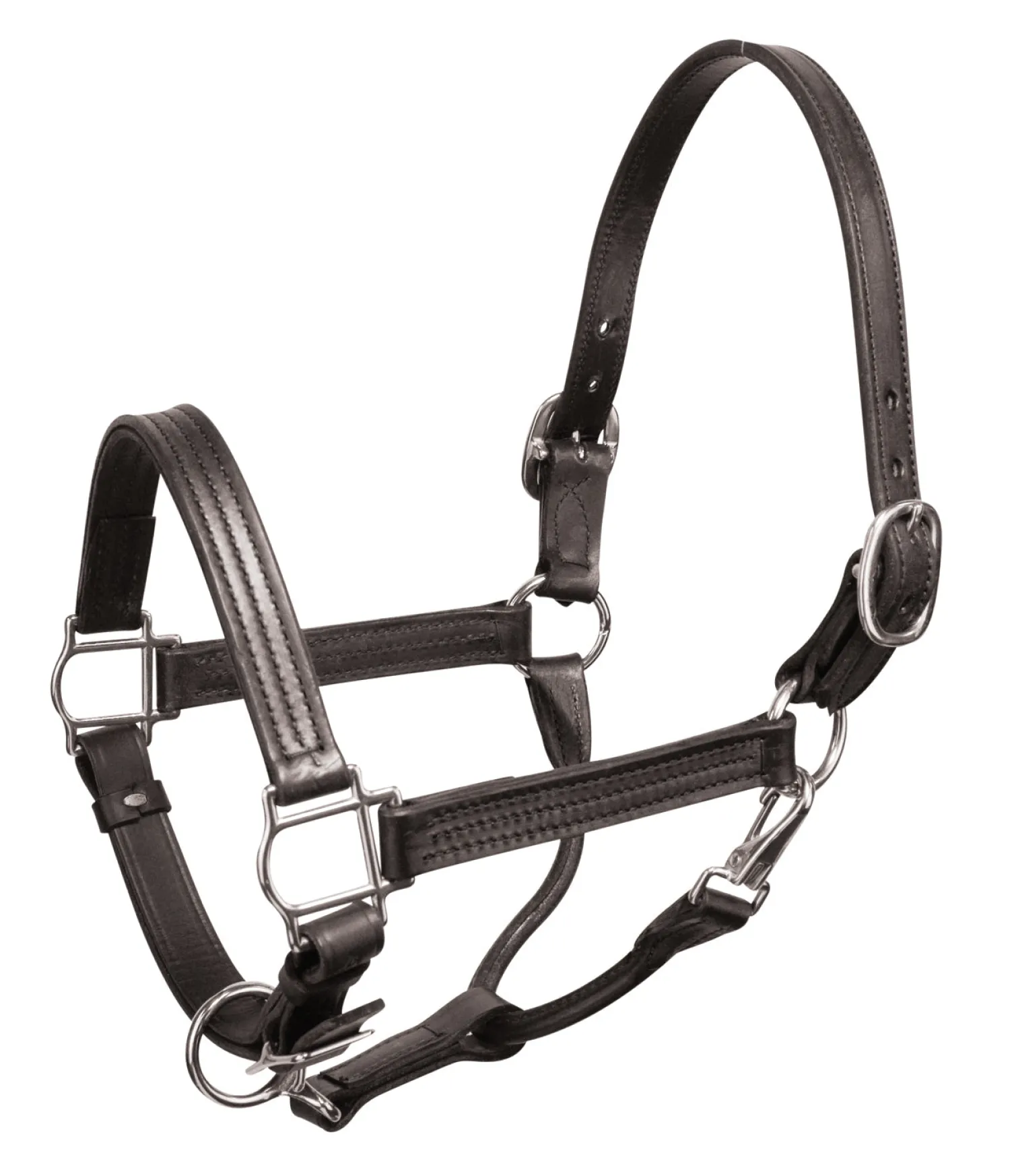 Outlet PERRIS LEATHER Perri’s® Premium Leather Show Halter