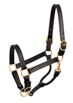 Outlet PERRIS LEATHER Perri’s® Premium Leather Show Halter