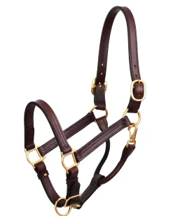 Outlet PERRIS LEATHER Perri’s® Premium Leather Show Halter