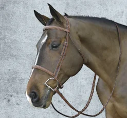 Hot ERS Pessoa® Pro Fancy-Stitched Raised Bridle