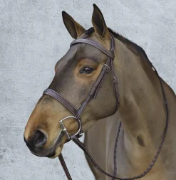 Clearance ERS Pessoa® Pro Fancy-Stitched Wide Nose Bridle