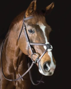 Outlet ERS Pessoa® Pro Fancy-Stitched Figure-8 Bridle Dark Brown