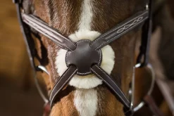 Outlet ERS Pessoa® Pro Fancy-Stitched Figure-8 Bridle Dark Brown