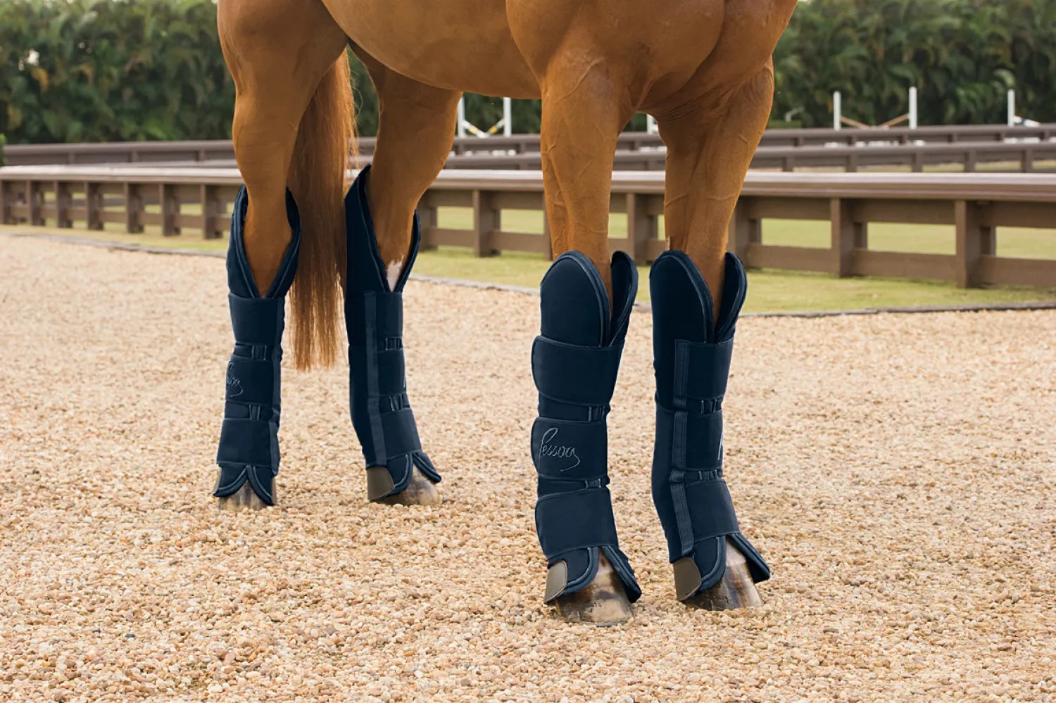 Discount ERS Pessoa Shipping Boots