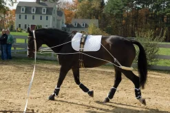 New ERS Pessoa® Training System
