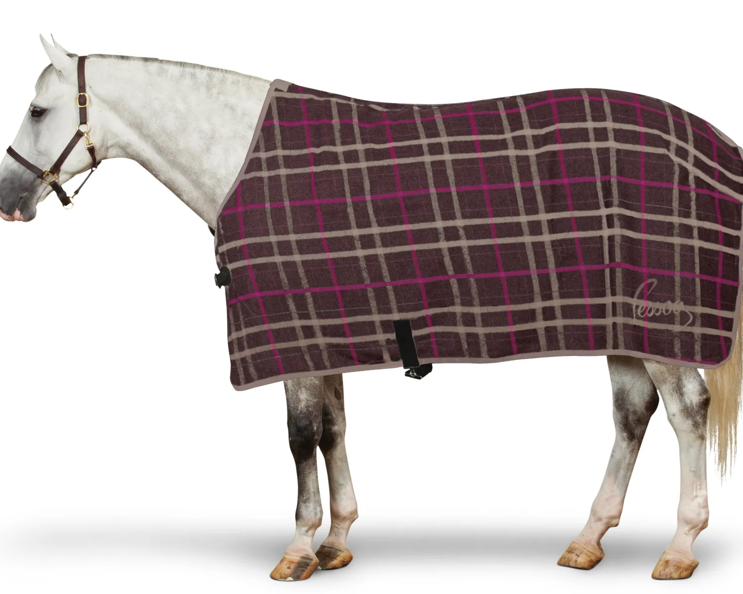 Best ERS Pessoa® Wool Cooler
