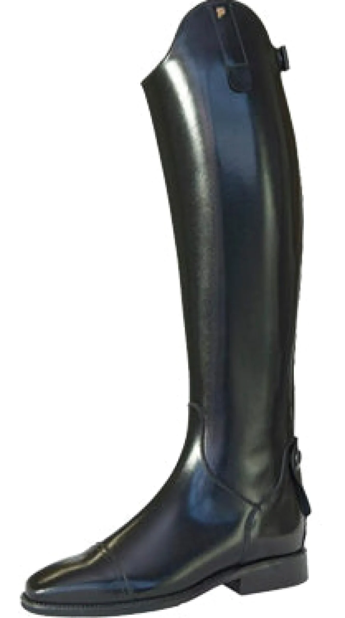 New PETRIE RIJLAAREN Petrie Sydney Dressage Boots