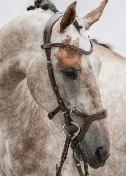 Online PS OF SWEDEN Nirak™ Bridle