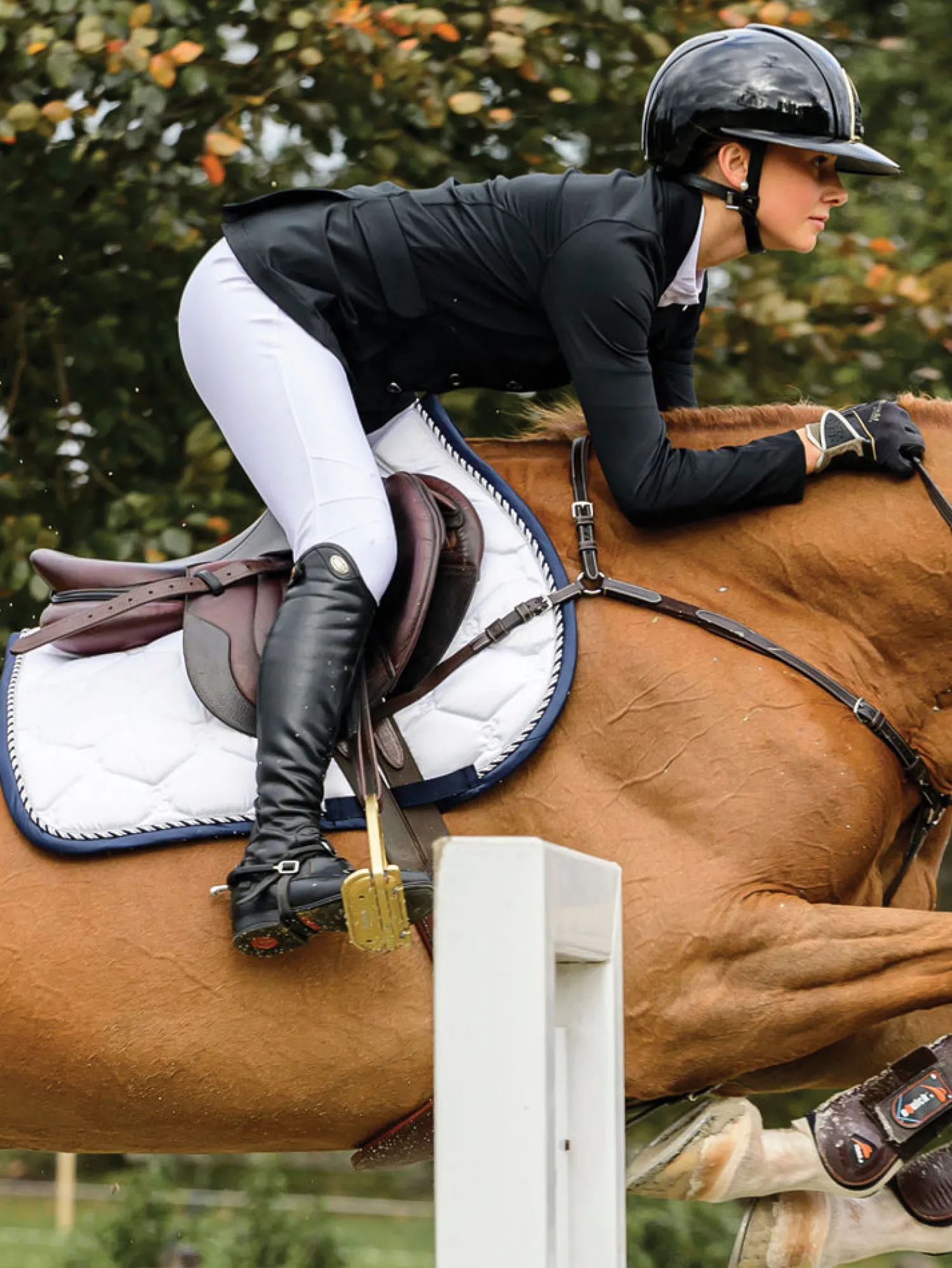 Sale PS OF SWEDEN Signature Jump Saddle Pad