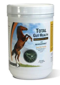 Best ANIMAL HEALTH INT Ramard Total Gut Health Supplement