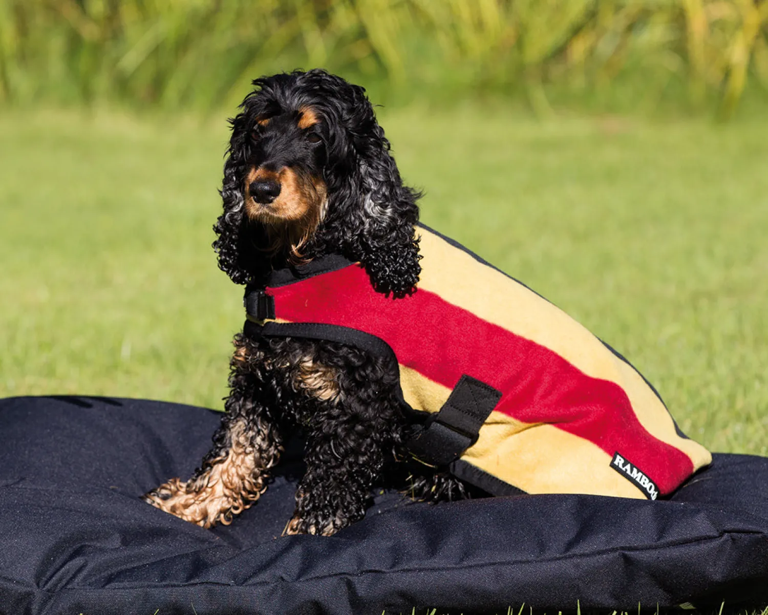 Outlet HORSEWARE Rambo® Deluxe Dog Blanket