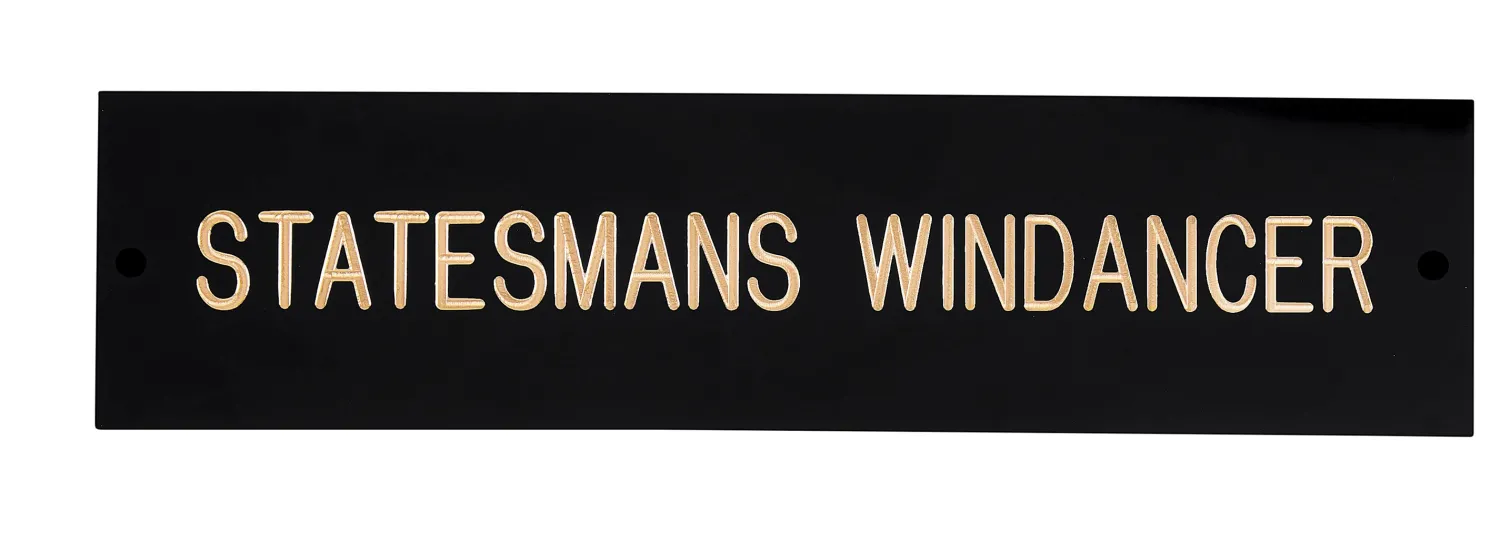 Hot CRW Rectangular Black & Brass Stall Plate - 1 or 2 lines Black/Brass
