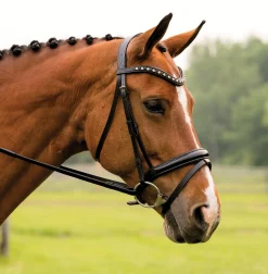 Discount KL SELECT Red Barn Stride Dressage Bridle Black