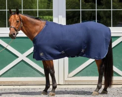Sale INTEX EQUESTRIAN Rider’s International™ Chill Chaser
