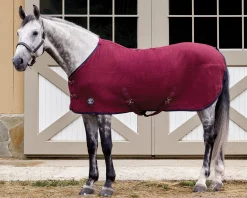 Sale INTEX EQUESTRIAN Rider’s International™ Chill Chaser