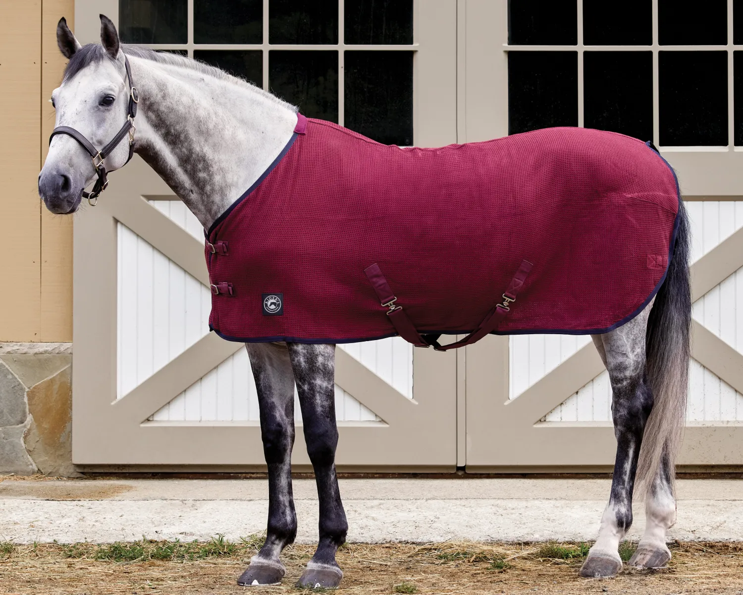 Sale INTEX EQUESTRIAN Rider’s International™ Chill Chaser