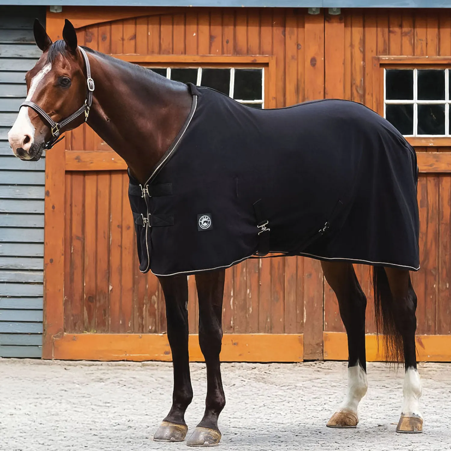 Clearance INTEX EQUESTRIAN Rider’s International™ Classic Cooler–Plaid