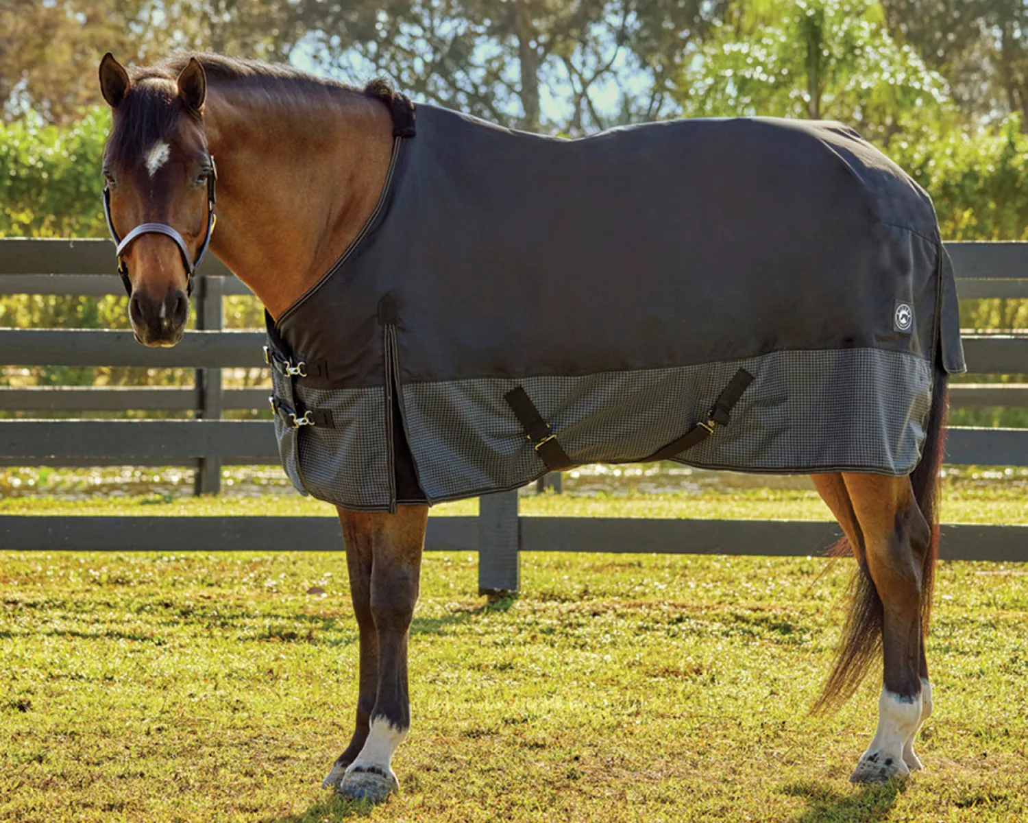 Best S.K. EXPORTS Rider’s International™ 600D Reflective Turnout Sheet Black/Reflective