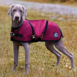 Discount CWEAR BRANCH Rider’s International™ Dog Turnout Sheet