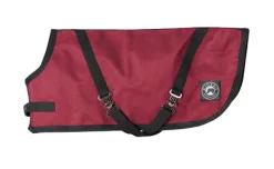 Discount CWEAR BRANCH Rider’s International™ Dog Turnout Sheet