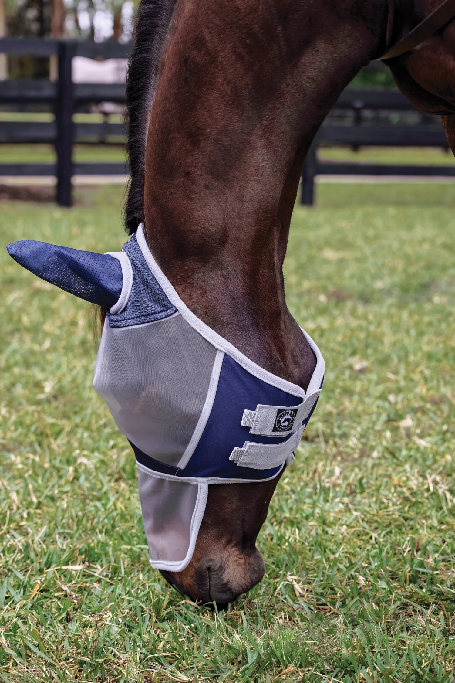 New CWEAR BRANCH Rider's International™ Fine Mesh Fly Mask with Ears & Nose Grey/Blue