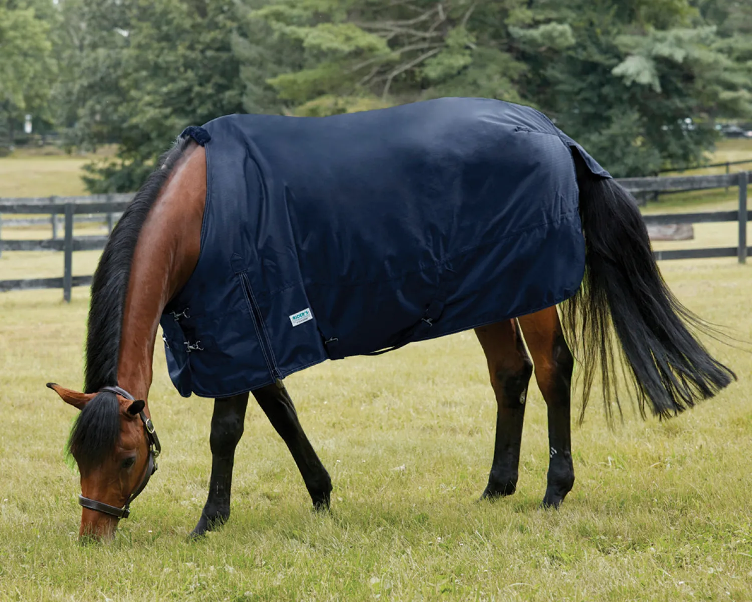 Discount S.K. EXPORTS Rider’s International™ Heavyweight Turnout Blanket
