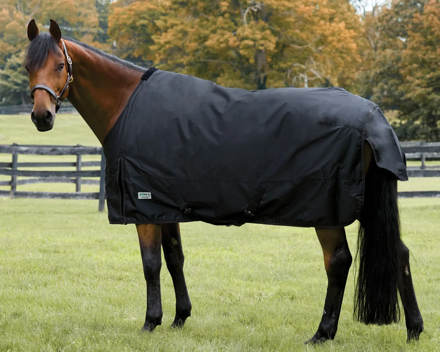 Discount S.K. EXPORTS Rider’s International™ Heavyweight Turnout Blanket