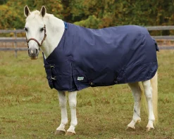 Outlet S.K. EXPORTS Rider’s International™ Pony Turnout Sheet