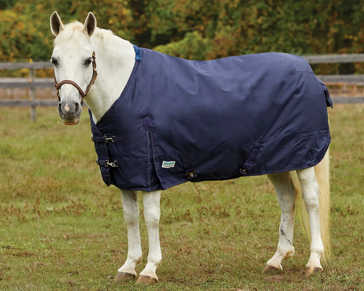 Outlet S.K. EXPORTS Rider’s International™ Pony Turnout Sheet