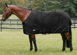 Outlet S.K. EXPORTS Rider’s International™ Pony Turnout Sheet