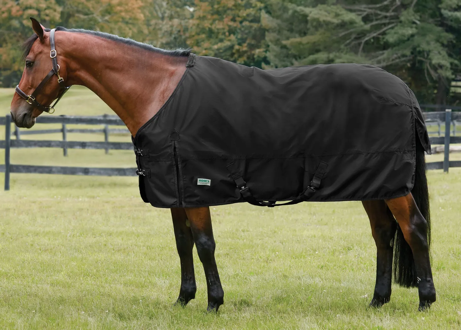 Outlet S.K. EXPORTS Rider’s International™ Pony Turnout Sheet