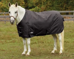 Outlet S.K. EXPORTS Rider’s International™ Pony Turnout Sheet