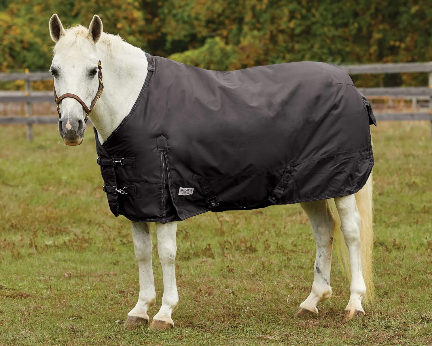Outlet S.K. EXPORTS Rider’s International™ Pony Turnout Sheet