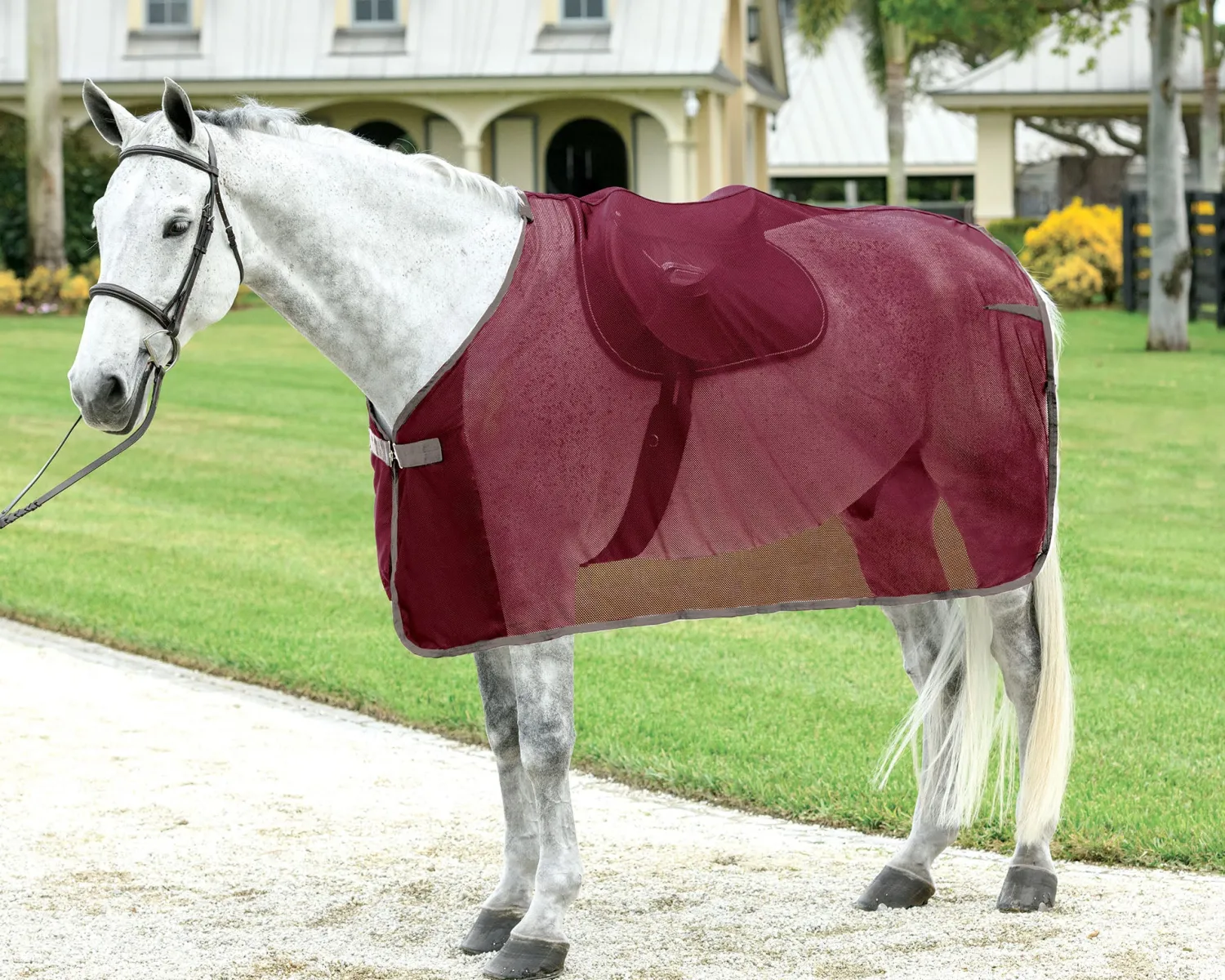 Discount S.K. EXPORTS Rider’s International™ Ringside Scrim Sheet