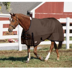 Online CWEAR BRANCH Rider’s International™ Supreme Heavyweight Turnout Blanket