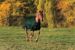 Online CWEAR BRANCH Rider’s International™ Supreme Heavyweight Turnout Blanket