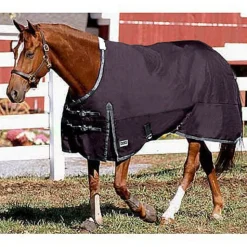 Online CWEAR BRANCH Rider’s International™ Supreme Heavyweight Turnout Blanket