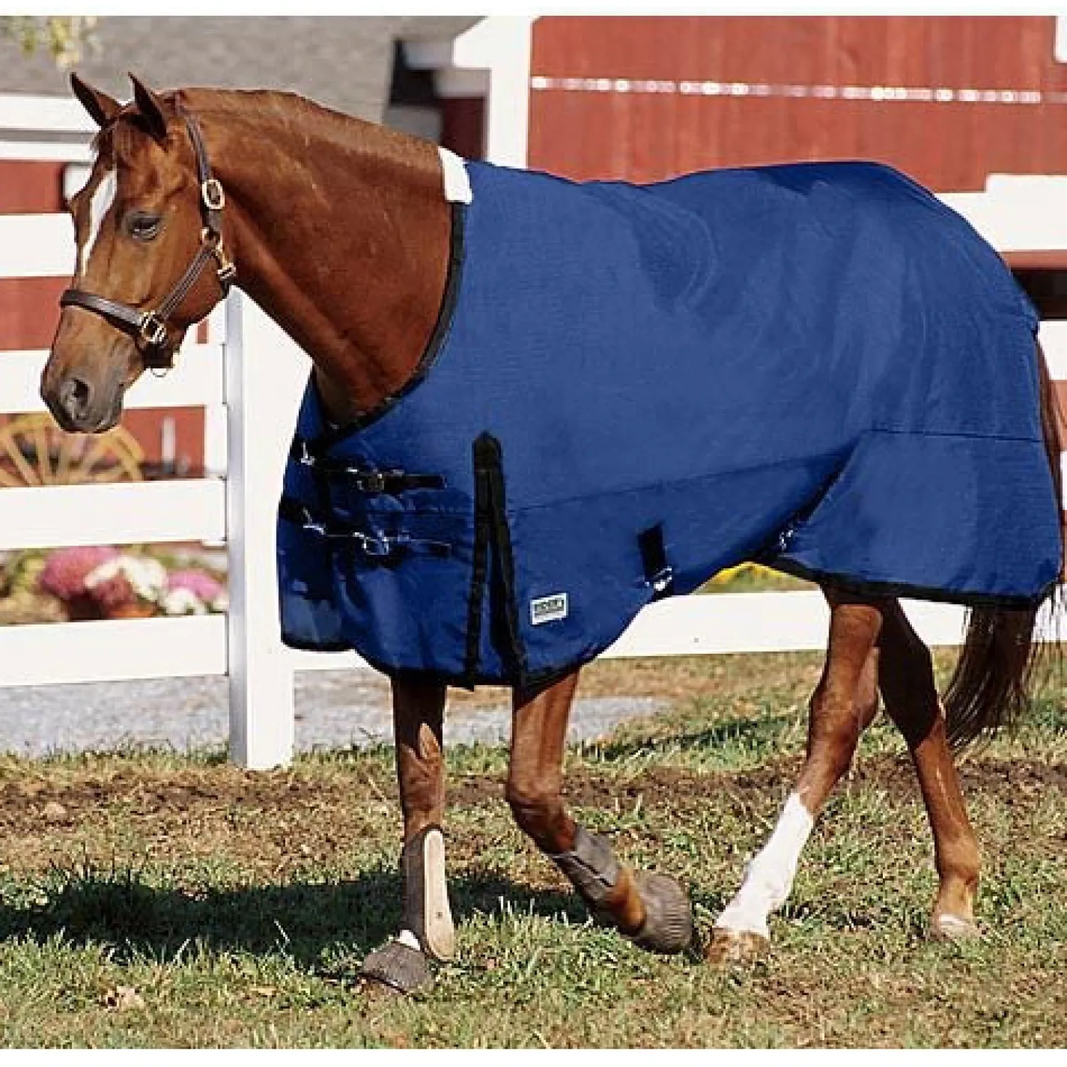 Online CWEAR BRANCH Rider’s International™ Supreme Heavyweight Turnout Blanket