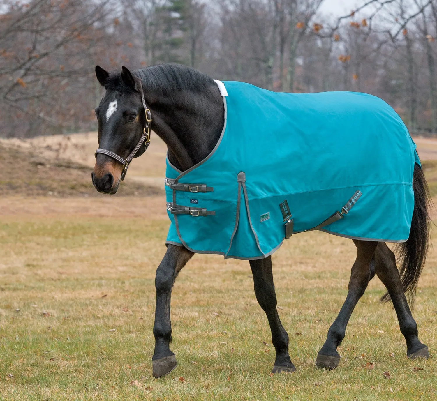 Online CWEAR BRANCH Rider’s International™ Supreme Heavyweight Turnout Blanket
